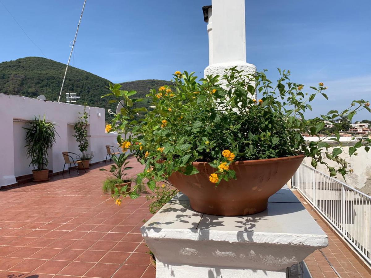 Molo35 Bed and Breakfast Ischia Buitenkant foto